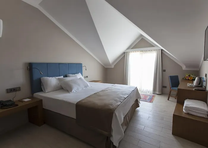 Hotel Renka Hotel&spa